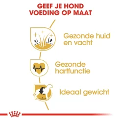 Royal Canin Hondenvoer Golden Retriever Adult 12 Kg -ROYAL CANIN Huisdier royal canin golden retriever adult volwassen hond golden retriever vanaf 15 maanden hero usp