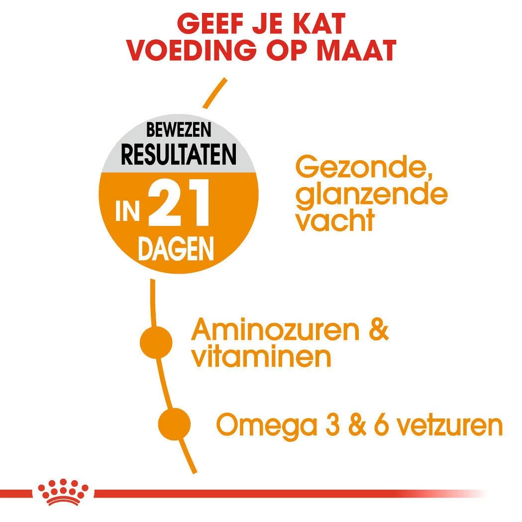 Royal Canin Kattenvoer Hair & Skin Care 10 Kg 4 Royal Canin Kattenvoer Hair & Skin Care 10 Kg - Afbeelding 4