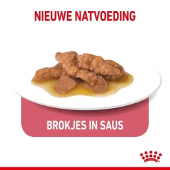 Royal Canin Kattenvoer Indoor 7+ In Gravy <br>12 X 85 Gr -ROYAL CANIN Huisdier royal canin indoor sterilised 7plus gravy volwassen kat binnenkatten hero kibble