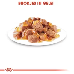 Royal Canin Kattenvoer Instinctive In Jelly <br>12 X 85 Gr 6 Royal Canin Kattenvoer Instinctive In Jelly <br>12 X 85 Gr -ROYAL CANIN Huisdier royal canin instinctive in jelly volwassen kat kieskeurige katten hero kibble