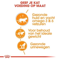 Royal Canin Kattenvoer Intense Beauty In Gravy 12 X 85 Gr 7 Royal Canin Kattenvoer Intense Beauty In Gravy 12 X 85 Gr -ROYAL CANIN Huisdier royal canin intense beauty in gravy volwassen kat vacht en huid hero usp
