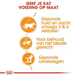 Royal Canin Kattenvoer Intense Beauty In Jelly 12 X 85 Gr 7 Royal Canin Kattenvoer Intense Beauty In Jelly 12 X 85 Gr -ROYAL CANIN Huisdier royal canin intense beauty in jelly volwassen kat vacht en huid hero usp