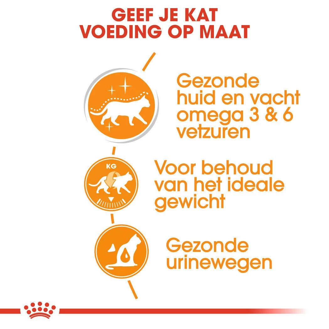 Royal Canin Kattenvoer Intense Beauty In Jelly 12 X 85 Gr 4 Royal Canin Kattenvoer Intense Beauty In Jelly 12 X 85 Gr - Afbeelding 4