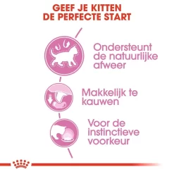 Royal Canin Kattenvoer Kitten In Gravy <br>12 X 85 Gr 7 Royal Canin Kattenvoer Kitten In Gravy <br>12 X 85 Gr -ROYAL CANIN Huisdier royal canin kitten in gravy kitten kat natuurlijke weerstand hero usp