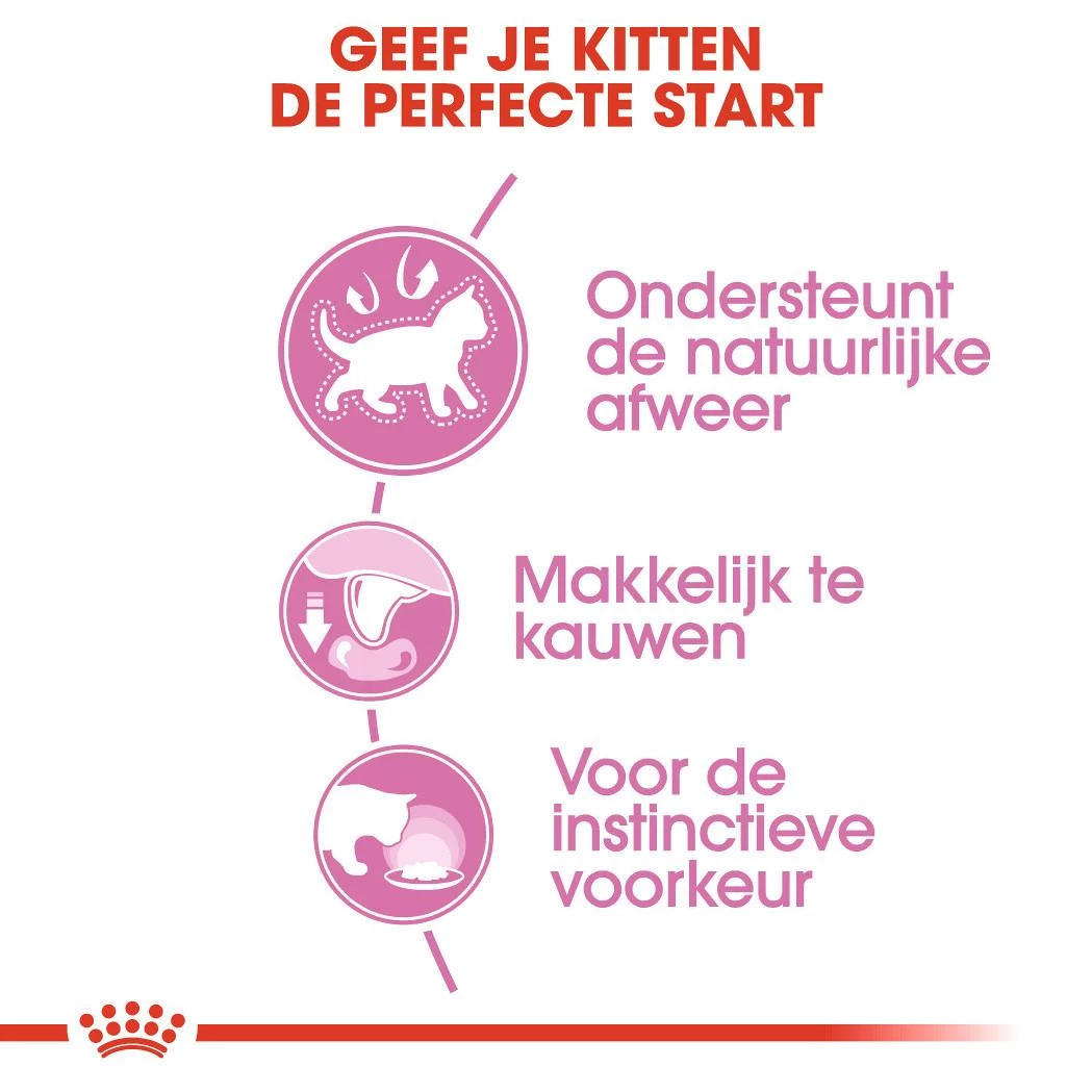 Royal Canin Kattenvoer Kitten In Gravy <br>12 X 85 Gr 4 Royal Canin Kattenvoer Kitten In Gravy <br>12 X 85 Gr - Afbeelding 4