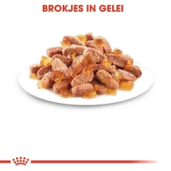 Royal Canin Kattenvoer Kitten In Jelly <br>12 X 85 Gr 6 Royal Canin Kattenvoer Kitten In Jelly <br>12 X 85 Gr -ROYAL CANIN Huisdier royal canin kitten in jelly kitten kat groeifase hero kibble