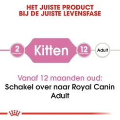 Royal Canin Kattenvoer Kitten 2 Kg 7 Royal Canin Kattenvoer Kitten 2 Kg -ROYAL CANIN Huisdier royal canin kitten kitten kat groeifase hero image 8 1