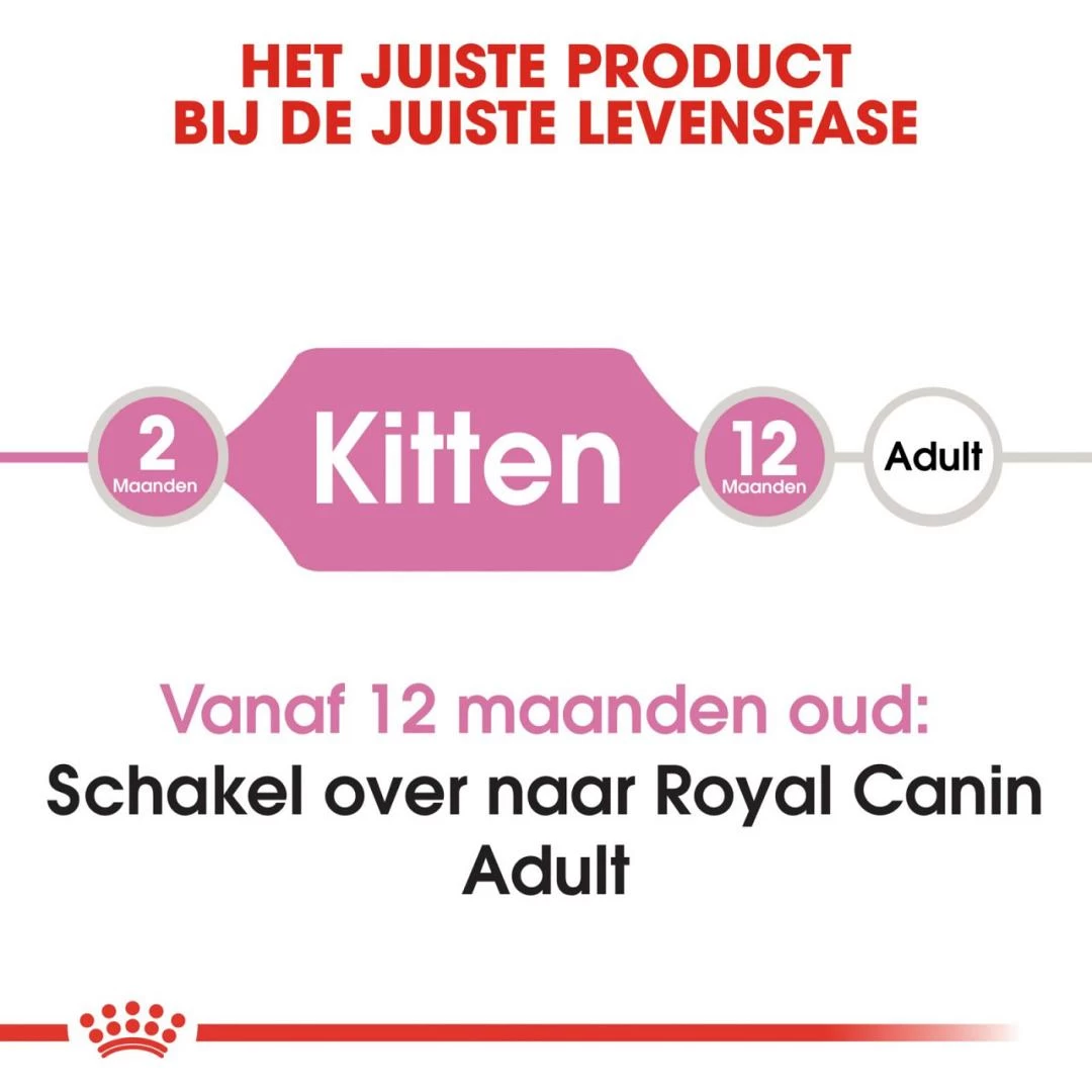 Royal Canin Kattenvoer Kitten 4 Kg 4 Royal Canin Kattenvoer Kitten 4 Kg - Afbeelding 4