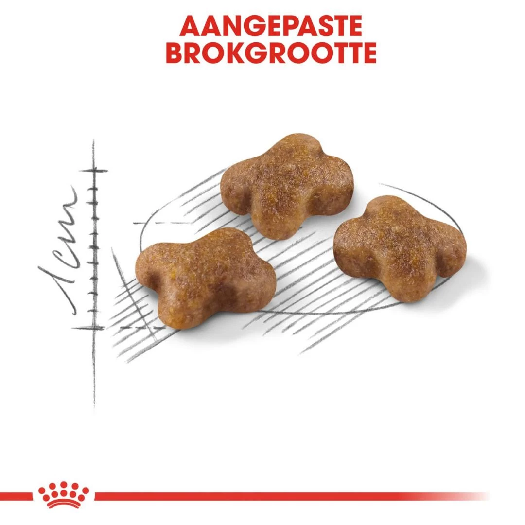 Royal Canin Kattenvoer Kitten 4 Kg 2 Royal Canin Kattenvoer Kitten 4 Kg - Afbeelding 2