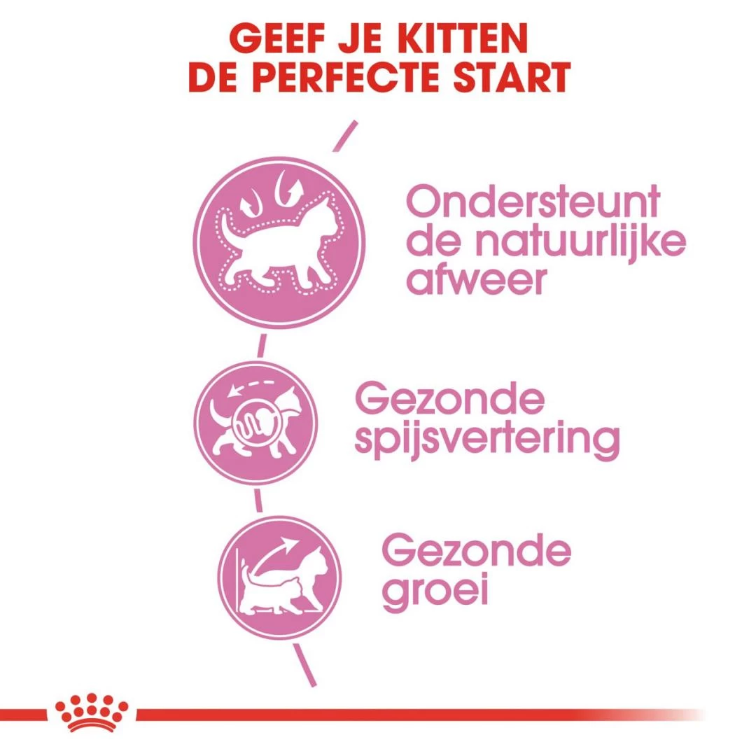 Royal Canin Kattenvoer Kitten 2 Kg 3 Royal Canin Kattenvoer Kitten 2 Kg - Afbeelding 3