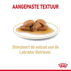 Royal Canin Hondenvoer Labrador Adult 10 X 140 Gr 6 Royal Canin Hondenvoer Labrador Adult 10 X 140 Gr -ROYAL CANIN Huisdier royal canin labrador retriever adult natvoer volwassen hond labrador vanaf 15 maanden hero kibble