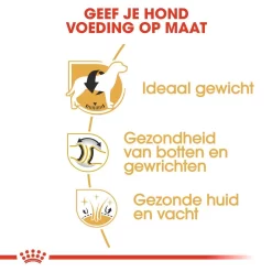 Royal Canin Hondenvoer Labrador Retriever Adult 3 Kg -ROYAL CANIN Huisdier royal canin labrador retriever adult volwassen hond labrador retriever vanaf 15 maanden hero usp