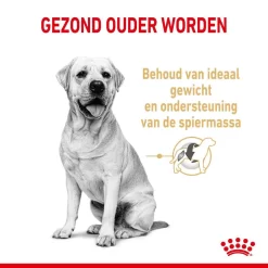 Royal Canin Hondenvoer Labrador Retriever Adult 5+ 3 Kg 5 Royal Canin Hondenvoer Labrador Retriever Adult 5+ 3 Kg -ROYAL CANIN Huisdier royal canin labrador retriever adult volwassen hond labrador retriever vanaf 5 jaar hero usp