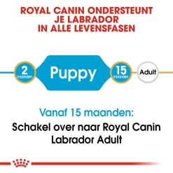Royal Canin Hondenvoer Labrador Retriever Puppy 12 Kg -ROYAL CANIN Huisdier royal canin labrador retriever junior pup hond labrador retriever hero image 9 1