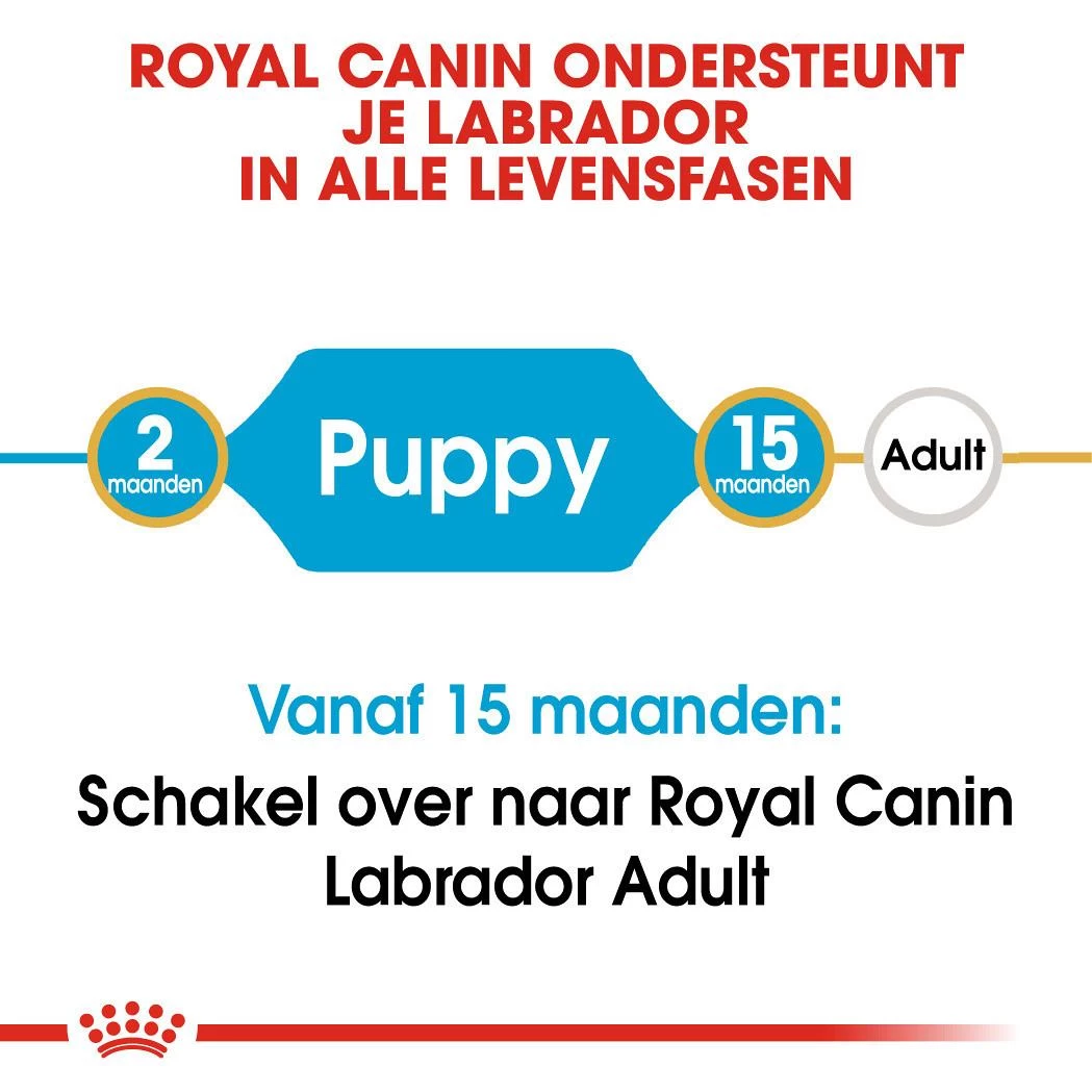 Royal Canin Hondenvoer Labrador Retriever Puppy 3 Kg 4 Royal Canin Hondenvoer Labrador Retriever Puppy 3 Kg - Afbeelding 4