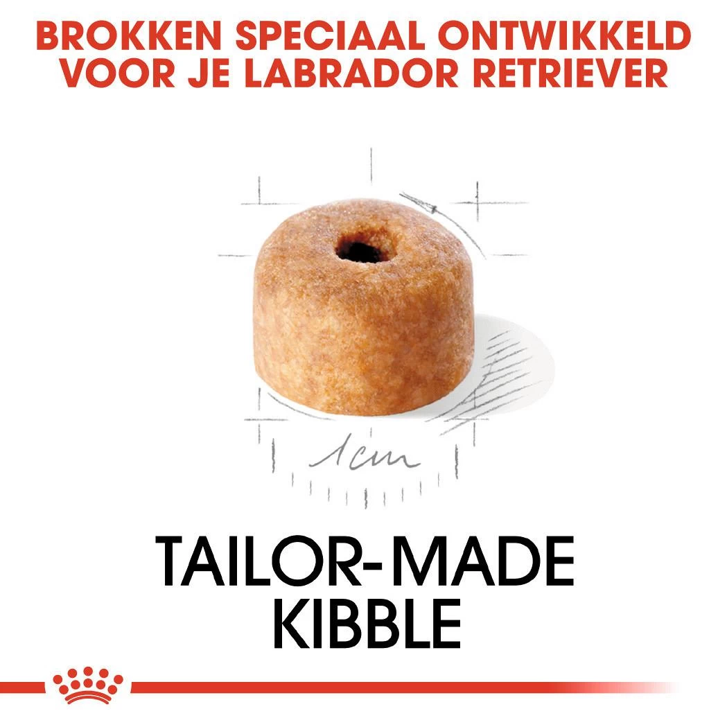 Royal Canin Hondenvoer Labrador Retriever Puppy 3 Kg 2 Royal Canin Hondenvoer Labrador Retriever Puppy 3 Kg - Afbeelding 2