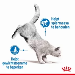 Royal Canin Kattenvoer Light Weight Care <br>1,5 Kg 6 Royal Canin Kattenvoer Light Weight Care <br>1,5 Kg -ROYAL CANIN Huisdier royal canin light weight care volwassen kat preventie overgewicht hero image 8