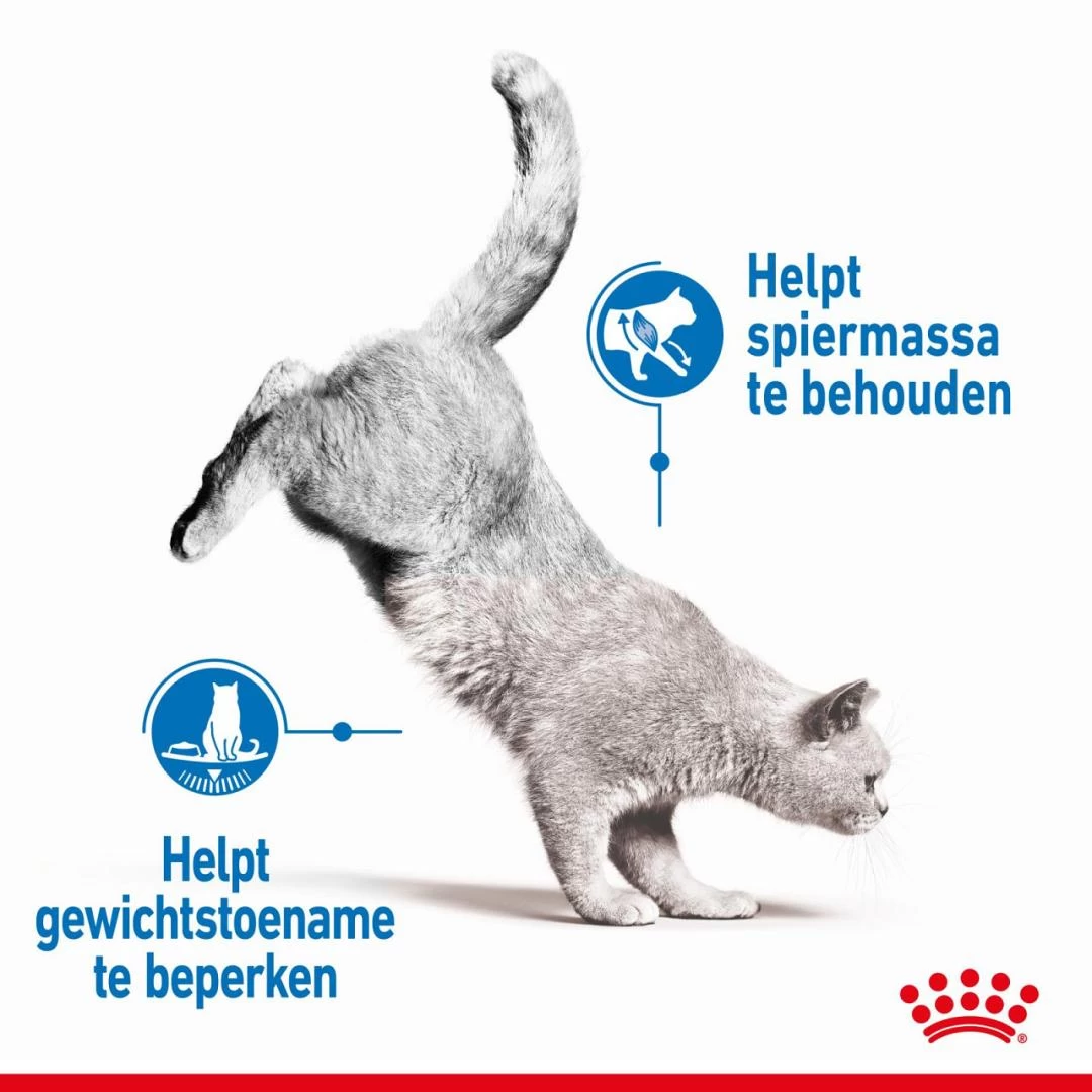 Royal Canin Kattenvoer Light Weight Care <br>1,5 Kg 3 Royal Canin Kattenvoer Light Weight Care <br>1,5 Kg - Afbeelding 3