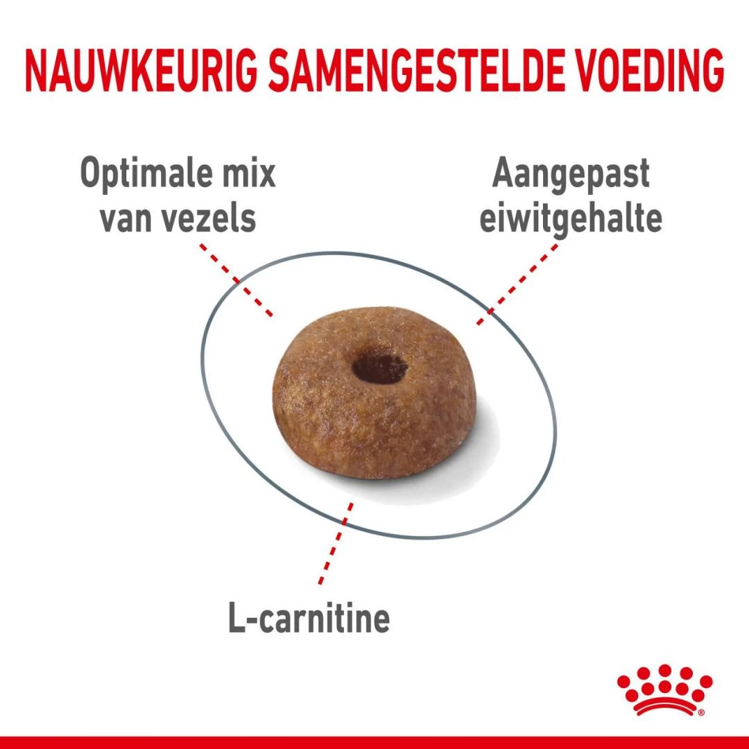 Royal Canin Kattenvoer Light Weight Care <br>1,5 Kg 2 Royal Canin Kattenvoer Light Weight Care <br>1,5 Kg - Afbeelding 2