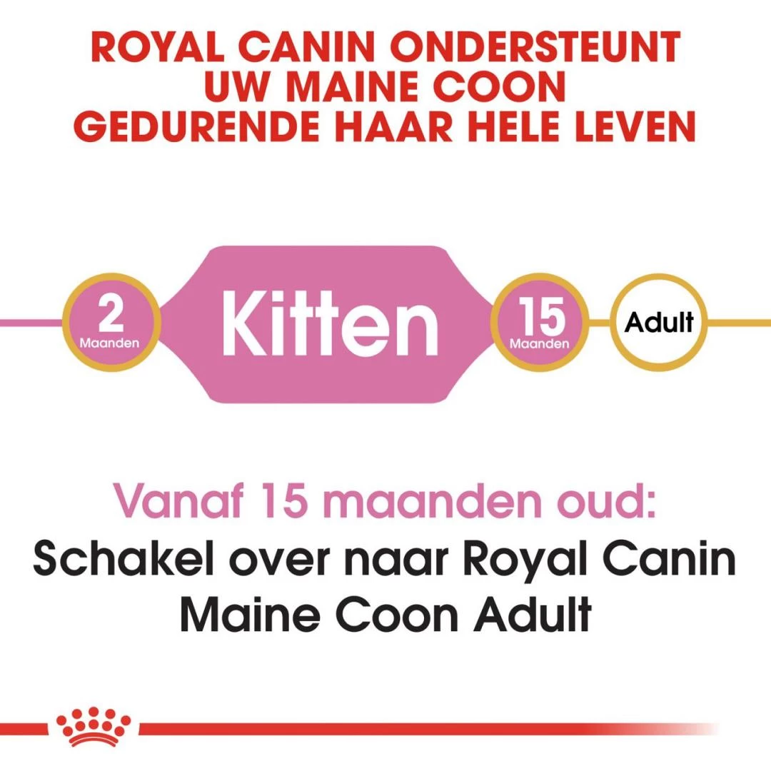 Royal Canin Kattenvoer Maine Coon Kitten 2 Kg 4 Royal Canin Kattenvoer Maine Coon Kitten 2 Kg - Afbeelding 4