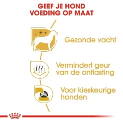 Royal Canin Hondenvoer Maltese Adult 1,5 Kg 5 Royal Canin Hondenvoer Maltese Adult 1,5 Kg -ROYAL CANIN Huisdier royal canin maltese adult volwassen hond maltezer vanaf 10 maanden hero usp