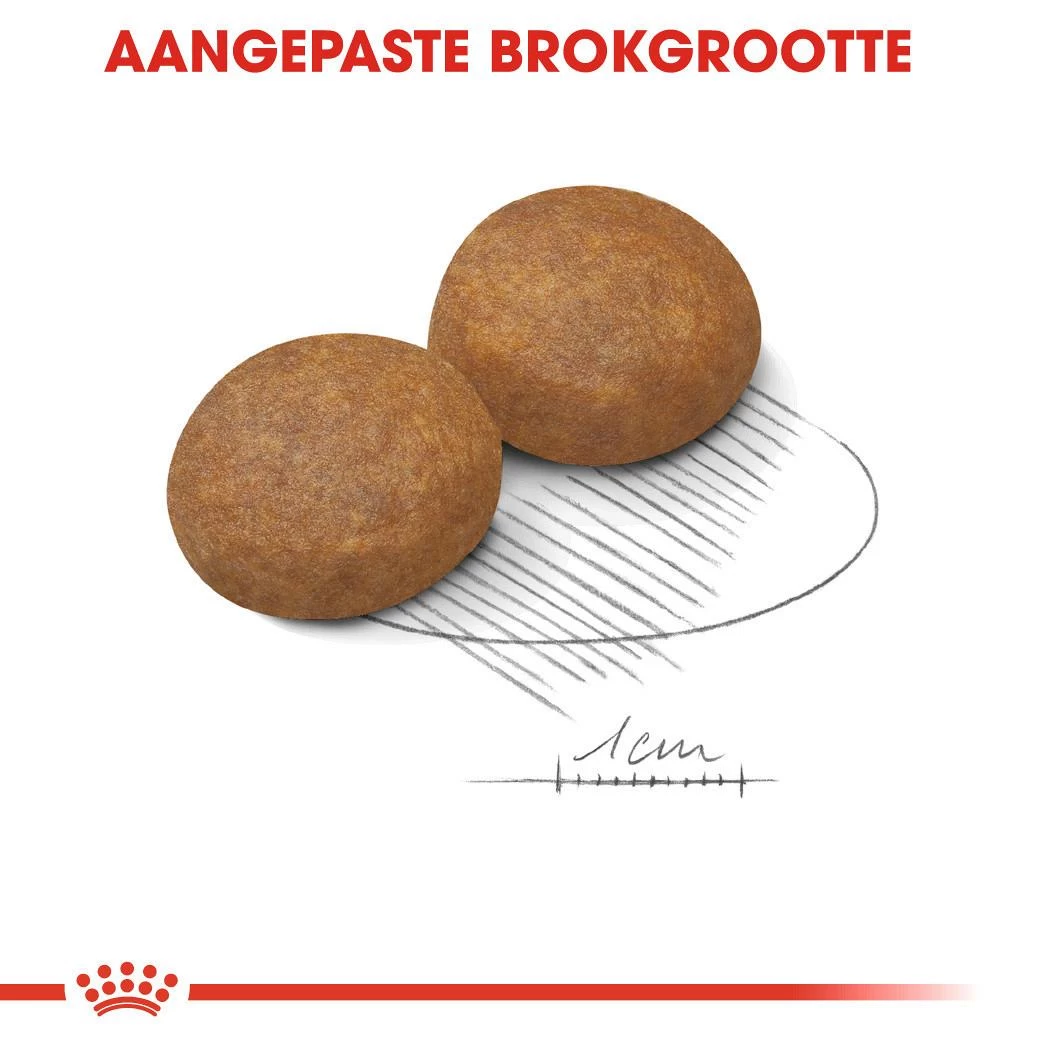 Royal Canin Hondenvoer Maxi Adult 5+ 15 Kg 2 Royal Canin Hondenvoer Maxi Adult 5+ 15 Kg - Afbeelding 2