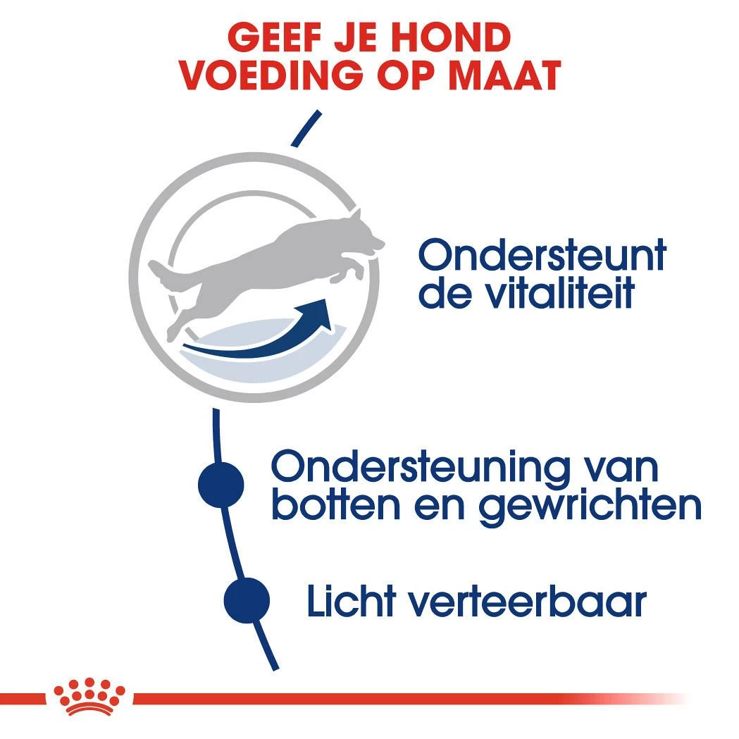 Royal Canin Hondenvoer Maxi Adult 5+ 15 Kg 3 Royal Canin Hondenvoer Maxi Adult 5+ 15 Kg - Afbeelding 3