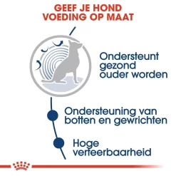 Royal Canin Hondenvoer Maxi Ageing 8+ 10 X 140 Gr 7 Royal Canin Hondenvoer Maxi Ageing 8+ 10 X 140 Gr -ROYAL CANIN Huisdier royal canin maxi ageing 8plus natvoer senior hond oudere hond vanaf 8 jaar hero usp