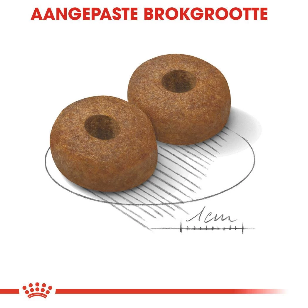 Royal Canin Hondenvoer Maxi Ageing 8+ 15 Kg 2 Royal Canin Hondenvoer Maxi Ageing 8+ 15 Kg - Afbeelding 2