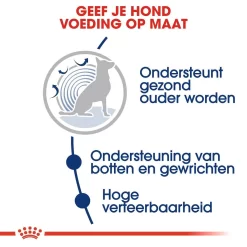 Royal Canin Hondenvoer Maxi Ageing 8+ 3 Kg 6 Royal Canin Hondenvoer Maxi Ageing 8+ 3 Kg -ROYAL CANIN Huisdier royal canin maxi ageing 8plus senior hond oudere hond vanaf 8 jaar hero usp