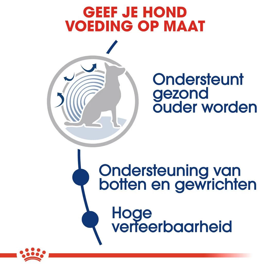 Royal Canin Hondenvoer Maxi Ageing 8+ 3 Kg 3 Royal Canin Hondenvoer Maxi Ageing 8+ 3 Kg - Afbeelding 3