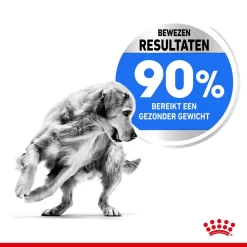 Royal Canin Hondenvoer Light Weight Care Maxi 12 Kg 7 Royal Canin Hondenvoer Light Weight Care Maxi 12 Kg -ROYAL CANIN Huisdier royal canin maxi light weight care volwassen hond grote hondenrassen hero usp