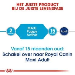 Royal Canin Hondenvoer Maxi Puppy 10 Kg 7 Royal Canin Hondenvoer Maxi Puppy 10 Kg -ROYAL CANIN Huisdier royal canin maxi puppy active pup hond grote hondenrassen hero image 8