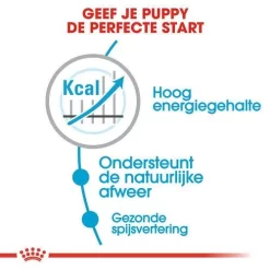 Royal Canin Hondenvoer Maxi Puppy Active 15 Kg 6 Royal Canin Hondenvoer Maxi Puppy Active 15 Kg -ROYAL CANIN Huisdier royal canin maxi puppy active pup hond grote hondenrassen hero usp