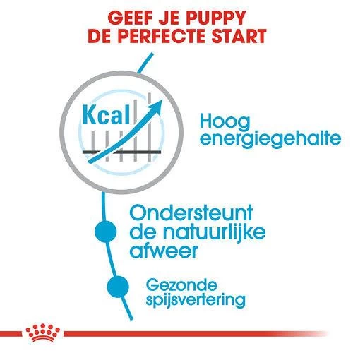Royal Canin Hondenvoer Maxi Puppy Active 15 Kg 3 Royal Canin Hondenvoer Maxi Puppy Active 15 Kg - Afbeelding 3