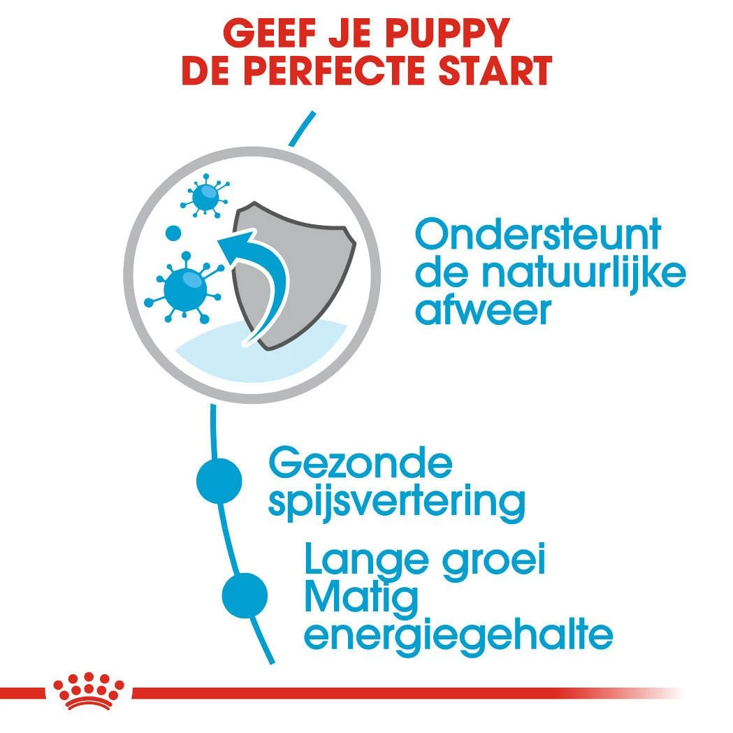 Royal Canin Hondenvoer Maxi Puppy 10 X 140 Gr 4 Royal Canin Hondenvoer Maxi Puppy 10 X 140 Gr - Afbeelding 4