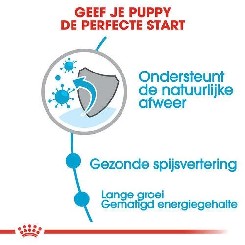 Royal Canin Hondenvoer Maxi Puppy 4 Kg 3 Royal Canin Hondenvoer Maxi Puppy 4 Kg - Afbeelding 3