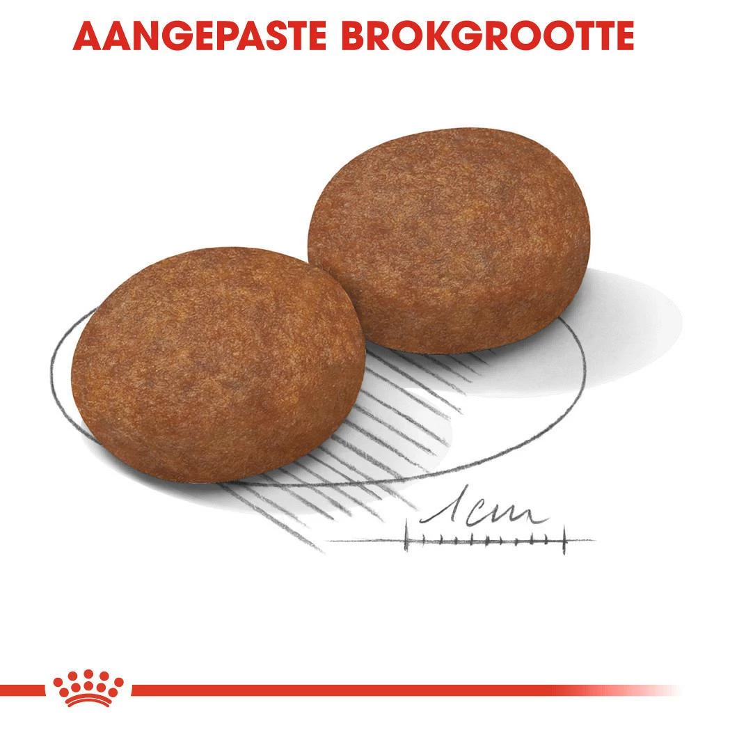 Royal Canin Hondenvoer Medium Adult 7+ 10 Kg 2 Royal Canin Hondenvoer Medium Adult 7+ 10 Kg - Afbeelding 2