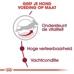 Royal Canin Hondenvoer Medium Adult 7+ 4 Kg 6 Royal Canin Hondenvoer Medium Adult 7+ 4 Kg -ROYAL CANIN Huisdier royal canin medium adult 7plus volwassen hond middelgrote hondenrassen vanaf 7 jaar hero usp 1