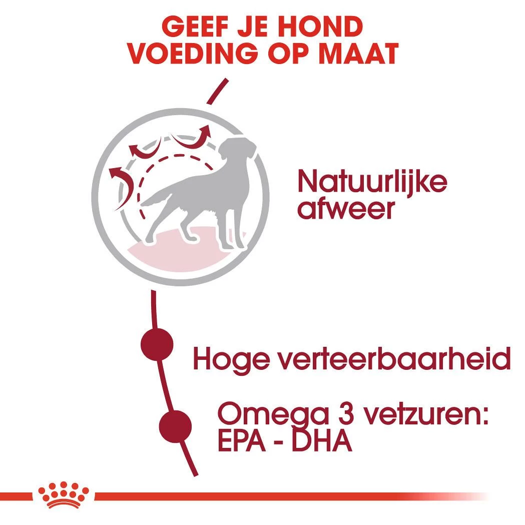 Royal Canin Hondenvoer Medium Adult 4 Kg 3 Royal Canin Hondenvoer Medium Adult 4 Kg - Afbeelding 3