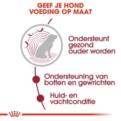 Royal Canin Hondenvoer Medium Ageing 10+ 10 X 140 Gr 7 Royal Canin Hondenvoer Medium Ageing 10+ 10 X 140 Gr -ROYAL CANIN Huisdier royal canin medium ageing 10plus natvoer senior hond oudere hond vanaf 10 jaar hero usp