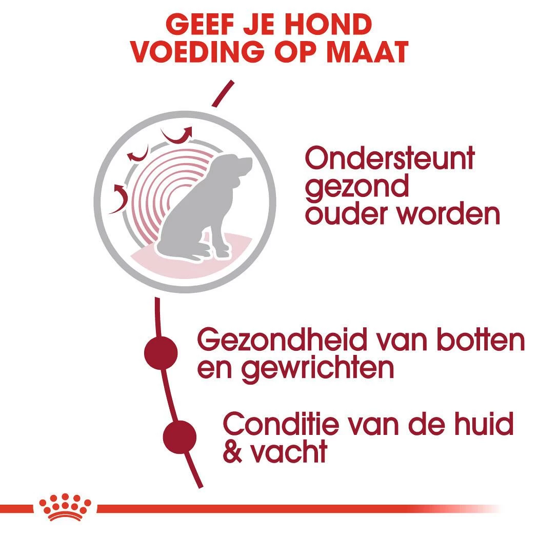 Royal Canin Hondenvoer Medium Ageing 10+ 3 Kg 3 Royal Canin Hondenvoer Medium Ageing 10+ 3 Kg - Afbeelding 3