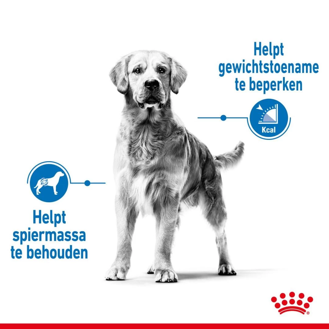 Royal Canin Hondenvoer Light Weight Care Medium 12 Kg 3 Royal Canin Hondenvoer Light Weight Care Medium 12 Kg - Afbeelding 3