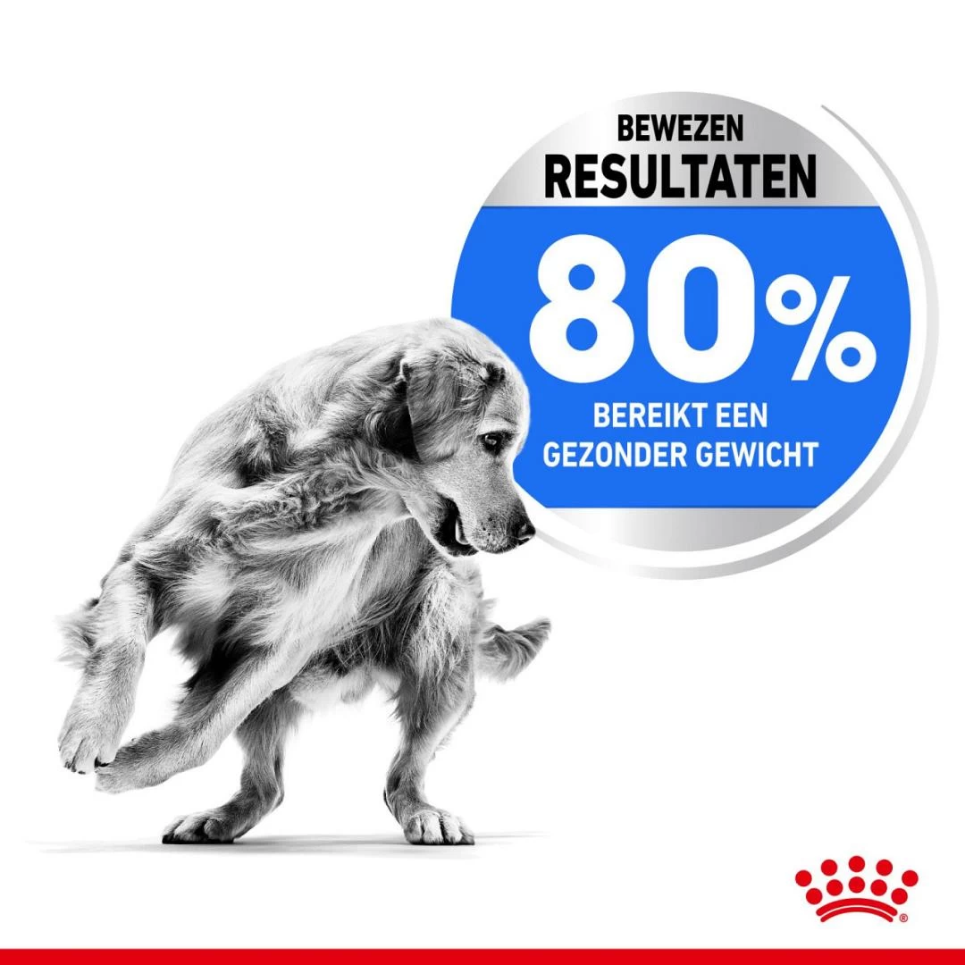Royal Canin Hondenvoer Light Weight Care Medium 10 Kg 4 Royal Canin Hondenvoer Light Weight Care Medium 10 Kg - Afbeelding 4