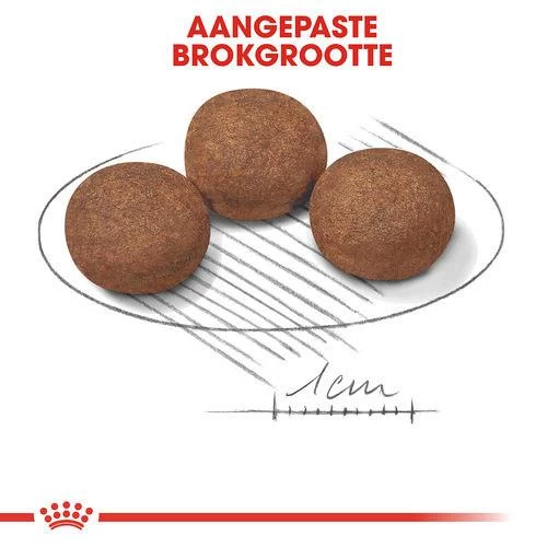 Royal Canin Hondenvoer Medium Puppy 15 Kg 2 Royal Canin Hondenvoer Medium Puppy 15 Kg - Afbeelding 2