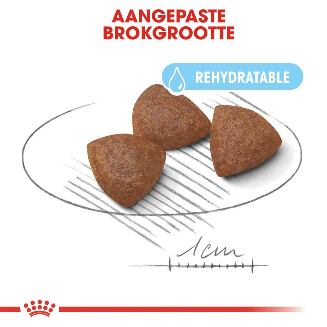 Royal Canin Hondenvoer Medium Starter 4 Kg 2 Royal Canin Hondenvoer Medium Starter 4 Kg - Afbeelding 2