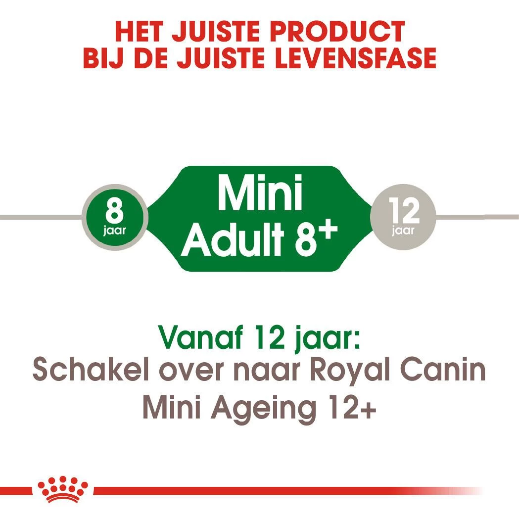Royal Canin Hondenvoer Mini Adult 8+ 4 Kg 4 Royal Canin Hondenvoer Mini Adult 8+ 4 Kg - Afbeelding 4