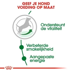 Royal Canin Hondenvoer Mini Adult 8+ 4 Kg 6 Royal Canin Hondenvoer Mini Adult 8+ 4 Kg -ROYAL CANIN Huisdier royal canin mini adult 8plus volwassen hond kleine hondenrassen vanaf 8 jaar hero usp