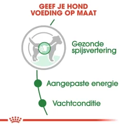 Royal Canin Hondenvoer Mini Adult 12 X 85 Gr -ROYAL CANIN Huisdier royal canin mini adult natvoer volwassen hond kleine hondenrassen hero usp