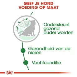 Royal Canin Hondenvoer Mini Ageing 12+ 12 X 85 Gr -ROYAL CANIN Huisdier royal canin mini ageing 12plus natvoer senior hond oudere hond vanaf 12 jaar hero usp